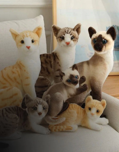 cat-plush