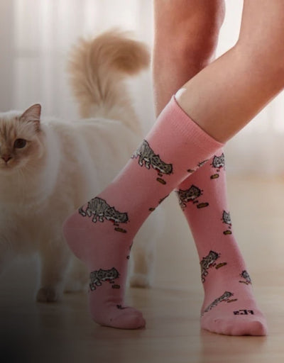 cat-socks
