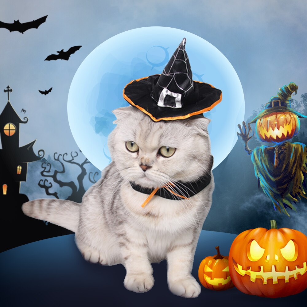 halloween-cat-products-gifts