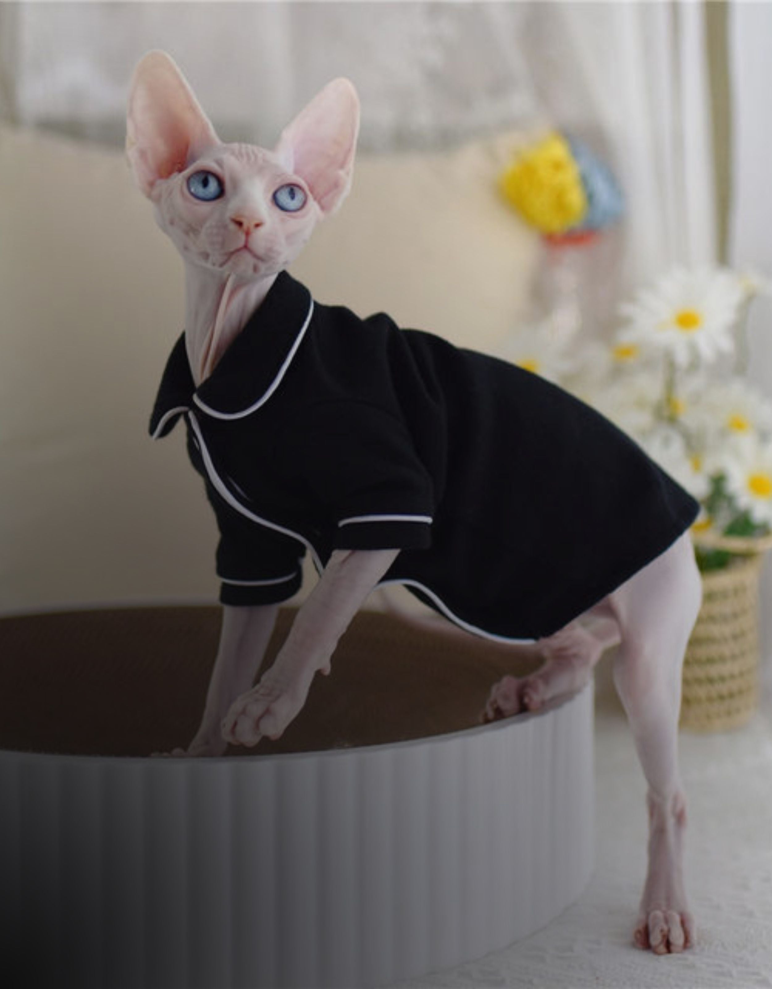 pajamas-for-cats