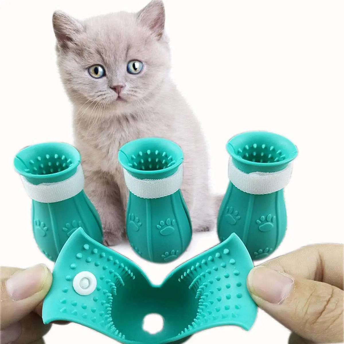 Shoes for Cats