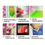 Lazy Cat Diamond Painting Kit, Fluffy Kitten Watching Winter Birds