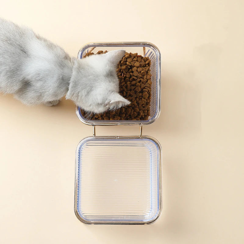 Gatto in ciotola di vetro