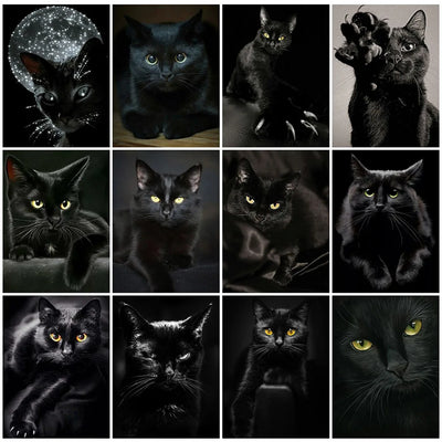 Art mural graphique chat noir