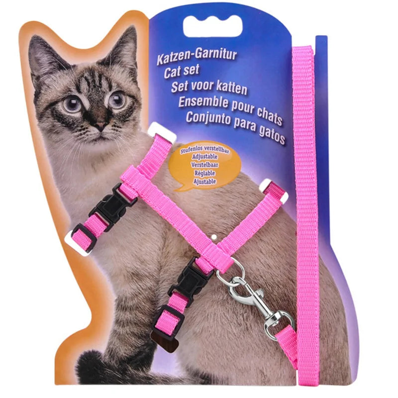 Adjustable Nylon Cat Harness and Leash Set in 5 Colors, Kitten and Small Cat Size