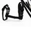 Adjustable Nylon Cat Harness and Leash Set in 5 Colors, Kitten and Small Cat Size