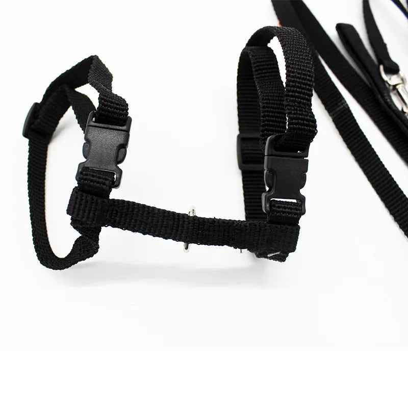 Adjustable Nylon Cat Harness and Leash Set in 5 Colors, Kitten and Small Cat Size