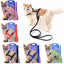 Adjustable Nylon Cat Harness and Leash Set in 5 Colors, Kitten and Small Cat Size