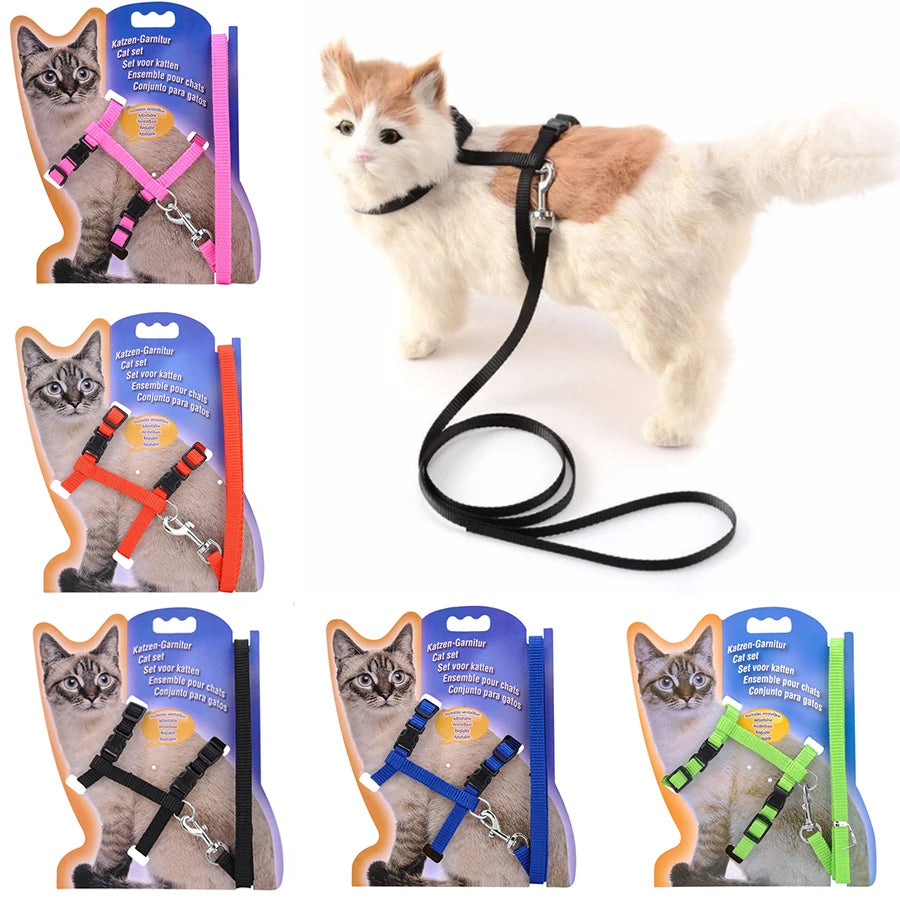 Adjustable Nylon Cat Harness and Leash Set in 5 Colors, Kitten and Small Cat Size