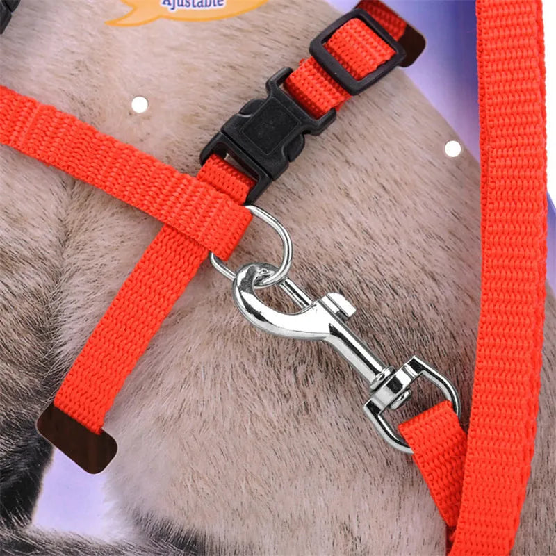 Adjustable Nylon Cat Harness and Leash Set in 5 Colors, Kitten and Small Cat Size