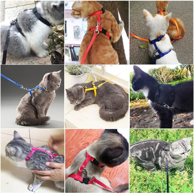 Adjustable Nylon Cat Harness and Leash Set in 5 Colors, Kitten and Small Cat Size
