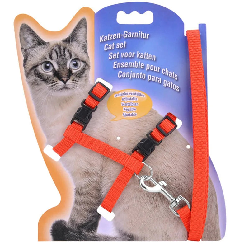 Adjustable Nylon Cat Harness and Leash Set in 5 Colors, Kitten and Small Cat Size