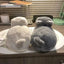 Hug Cat Slippers for Women, Cute Plush Winter House Shoes