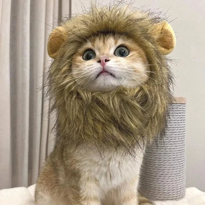 Lion Mane Wig for Cats, Funny Photo Prop for Social Media and Holiday Cards