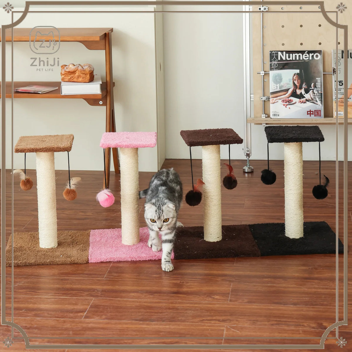 Basic Kitten Scratching Post With Top Perch and Two Hanging Ball Toys