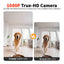 8L Automatic Cat Feeder With 1080p Camera, Wi-Fi App Control and Night Vision