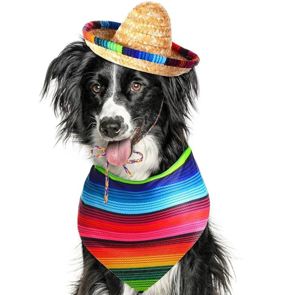 Mini Straw Sombrero for Cats, Woven Fiesta Hat With Colorful Brim