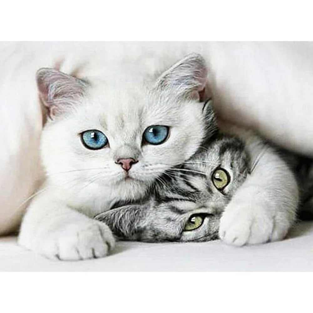 Copripiumino per amante dei gatti