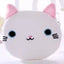 Orange Tabby Cat Face Coin Purse, Soft Plush Zipper Pouch, 4.9 Inches