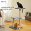 Small Cat Tree for Indoor Cats – 3-Tier Cat Tower with Scratching Posts, Cozy Hammock & Removable Top Perch