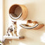 Wall-Mounted Cat Shelves and Climbing Set, Solid Wood Pieces to Mix and Match