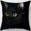 Oreiller chat noir