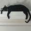 Nachtlicht der schwarzen Katze