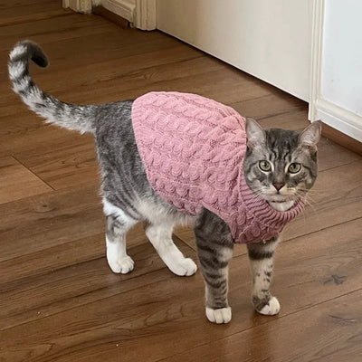 Knit Sphynx Cat Sweater in Solid Colors, Warm Winter Pullover XS to XXL