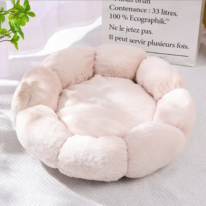 Pat cu flori pentru pisici