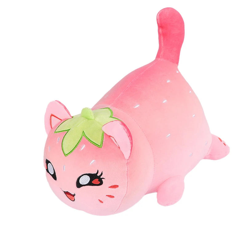 Pumpkin Cat plus