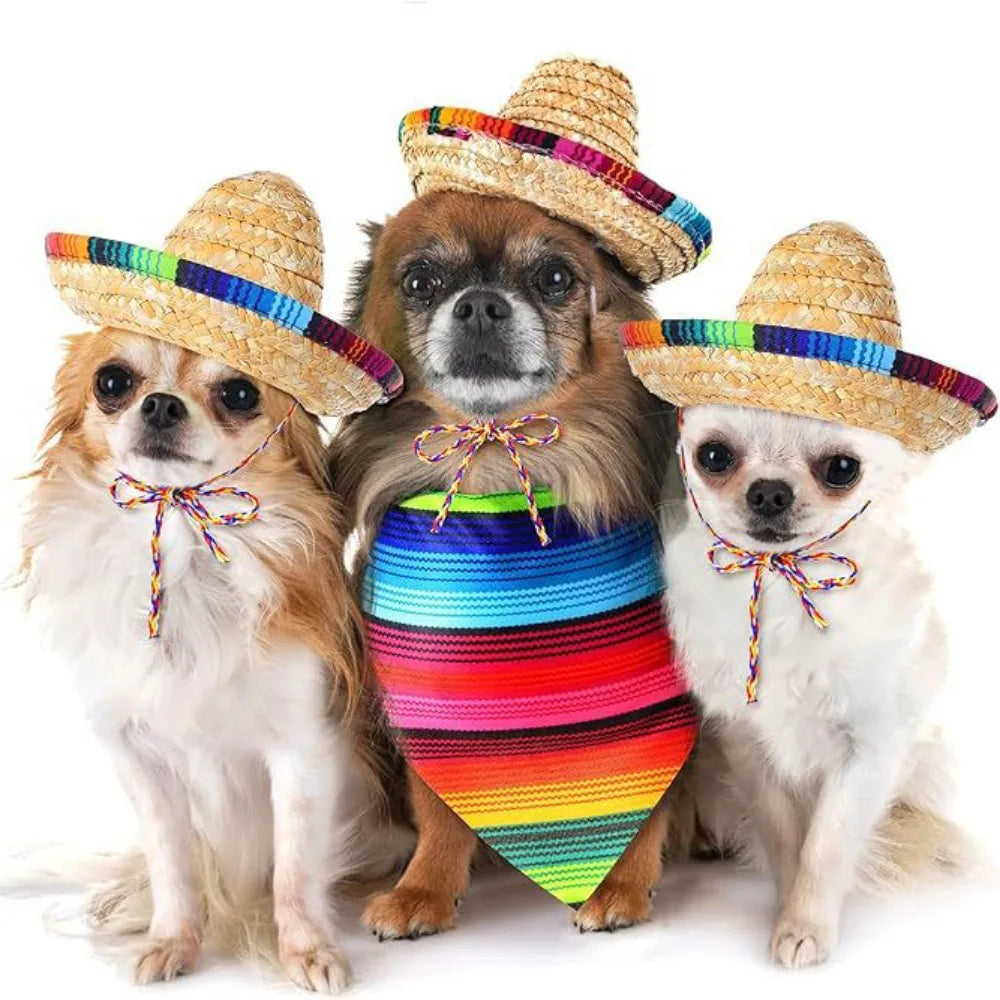Mini Straw Sombrero for Cats, Woven Fiesta Hat With Colorful Brim
