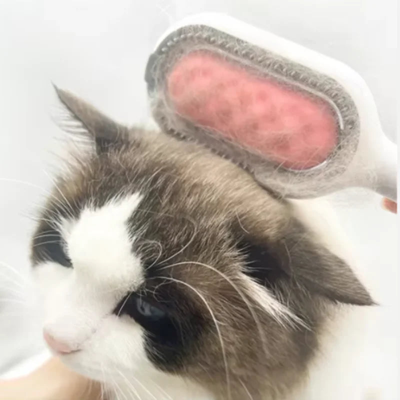 Cat Grooming Brush with Water Tank for Damp Wipe Brushing