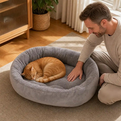 Plush Bolster Cat Bed with Raised Rim in Small and Medium