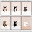 Art abstrait de chat Poster