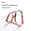 Gradient Cat Harness and Leash Set, Lightweight Strap Harness in 4 Colors