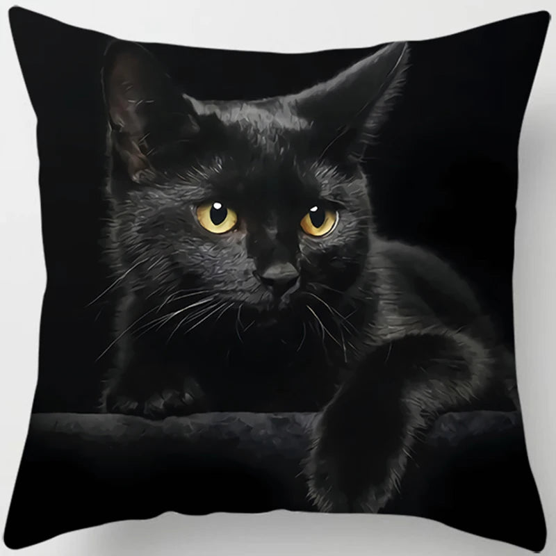 Oreiller chat noir