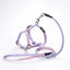 Gradient Cat Harness and Leash Set, Lightweight Strap Harness in 4 Colors