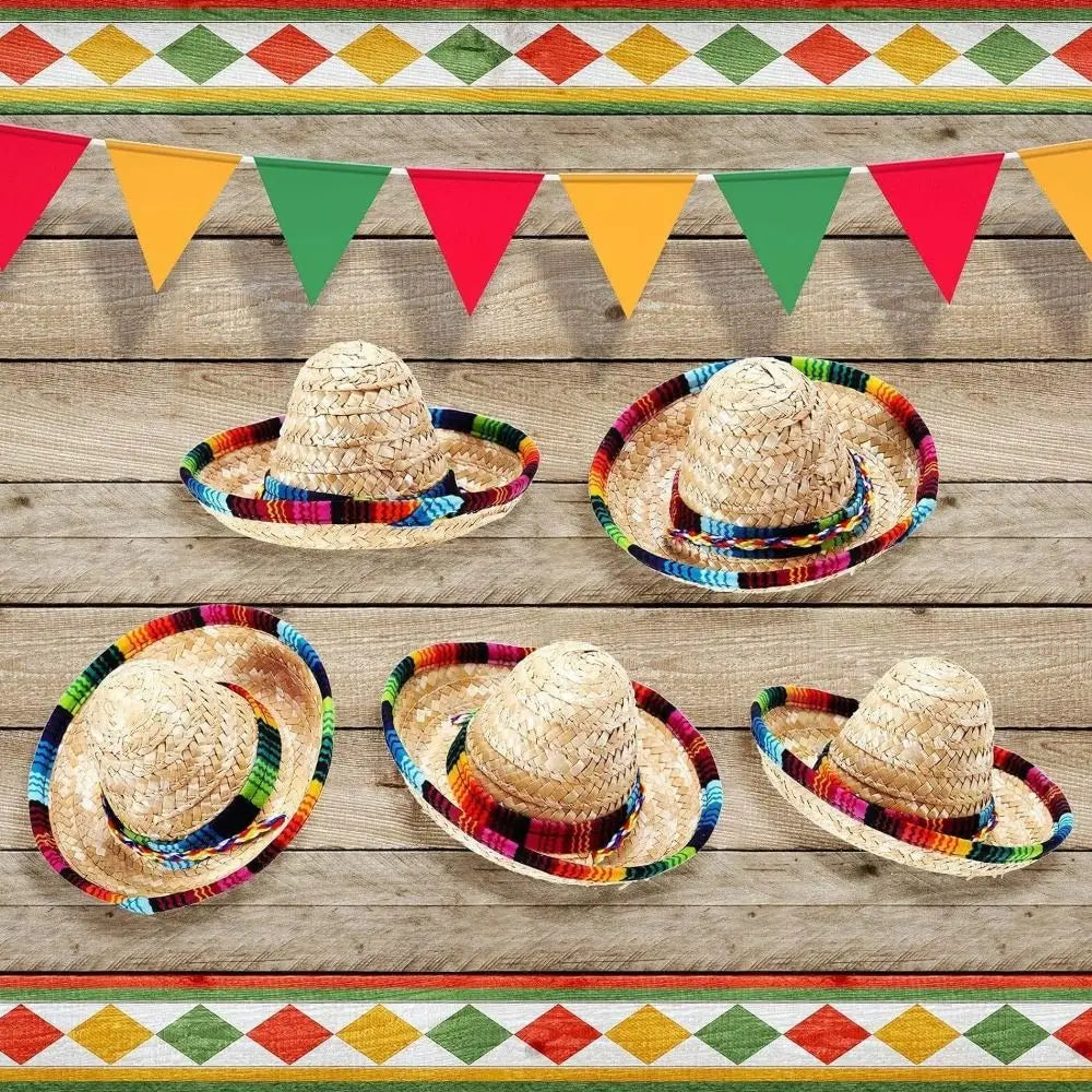 Mini Straw Sombrero for Cats, Woven Fiesta Hat With Colorful Brim