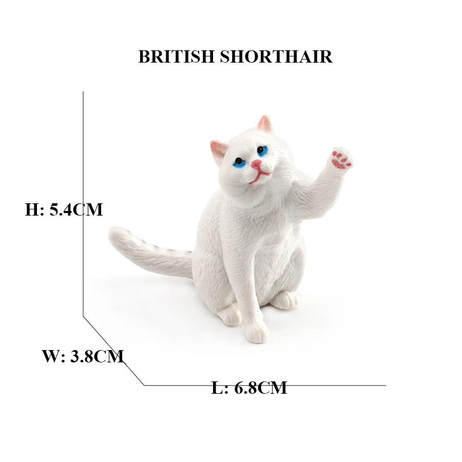 Realistic Ragdoll Cat Figurine and Chubby Cat Model, PVC