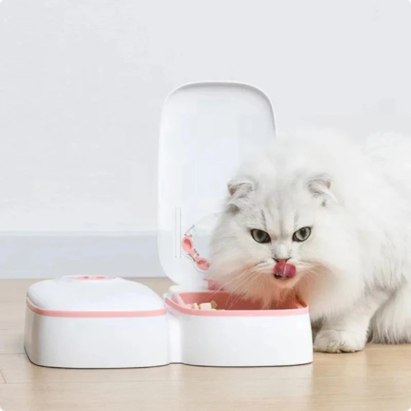 Timed Cat Feeder for Wet and Dry Food, Single or Double Meal