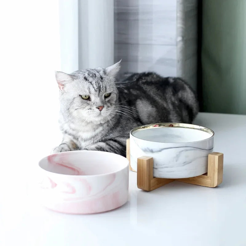 Ciotole per l'acqua per gatti
