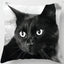 Oreiller chat noir