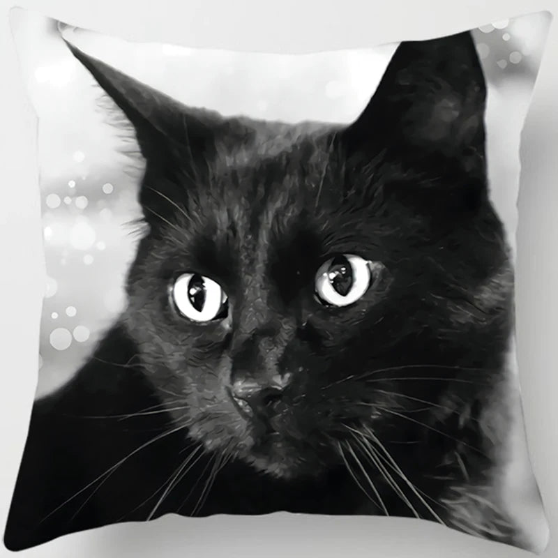 Oreiller chat noir