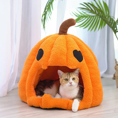 Halloween Pumpkin Cat Bed with Removable Cushion