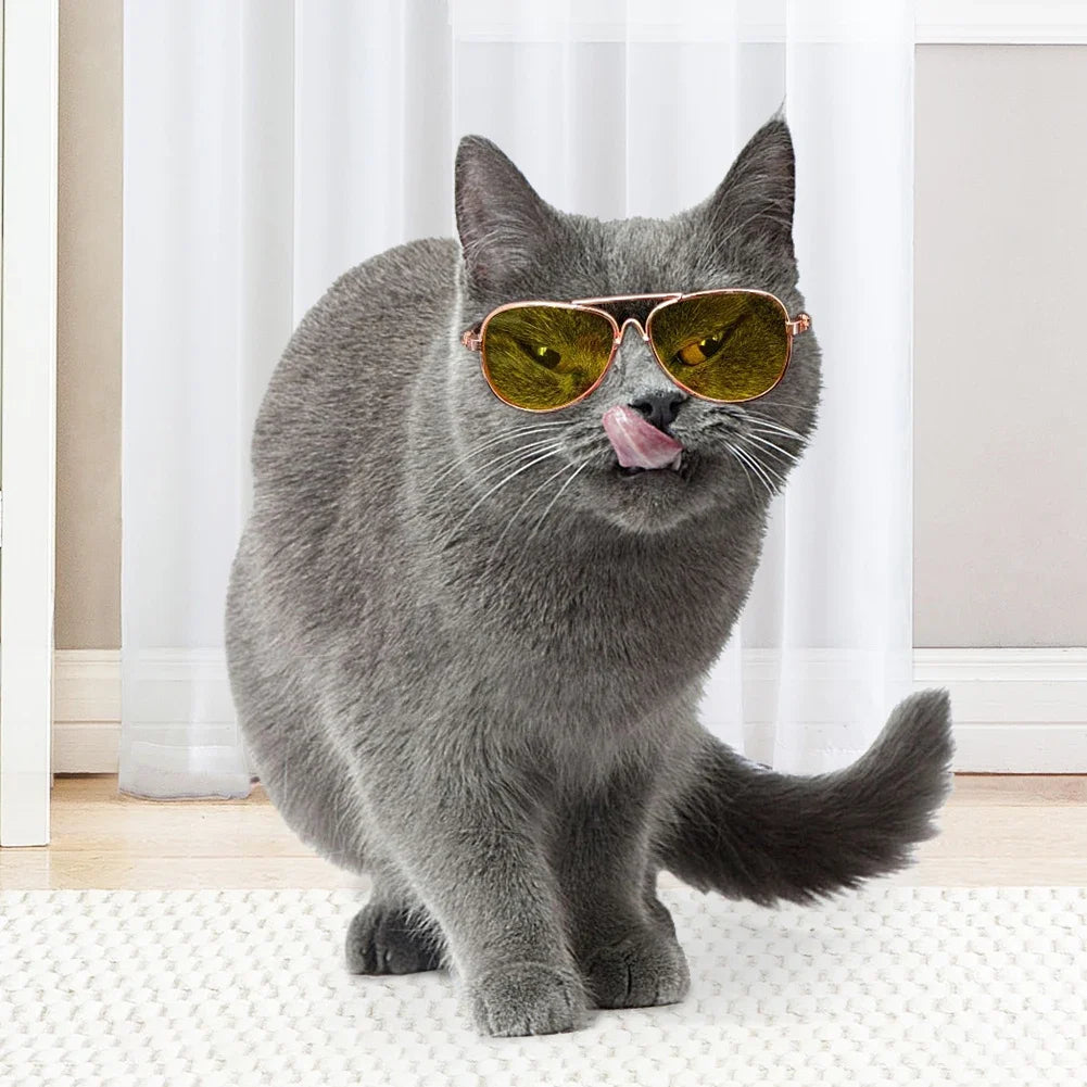 Colored Cat Sunglasses with Resin Lenses for Photos and Costumes