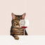 Art abstrait de chat Poster