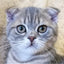Katzen Wandkunst