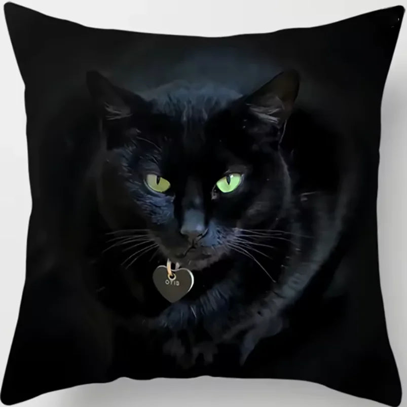 Oreiller chat noir