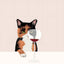 Art abstrait de chat Poster