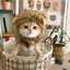 Костюм на лъв за котка